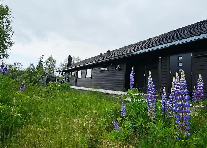 Fidjeland 61